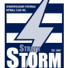 Strathfieldsaye Logo