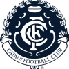 Catani Logo
