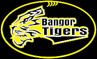 Bangor U10
