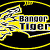 Bangor U10 Logo