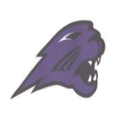 Panthers Purple