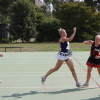 2010 Netball Pictures