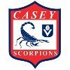 Casey Scorpions