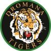 Dromana U16s Logo