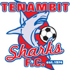 Tenambit Sharks FC 17/01-2023 Logo