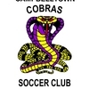CAMPBELLTOWN COBRAS AA9 Logo