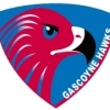 Gascoyne Hawks Football Club Logo