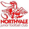 Northvale Logo