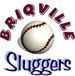 Briqville Sluggers Logo