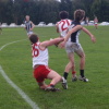 2010, Round 11 Vs. Dalyston at Terrill Park