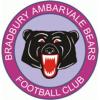 BRADBURY AAW 4 Logo