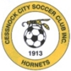 Cessnock City Hornets FC Logo