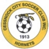 Cessnock City - NewFM  (Under 23) Logo