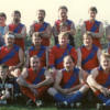 Teams 1987 Est. - 1999