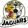 Adelaide Jaguars Green Logo