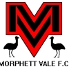 MORPHETT VALE C GRADE 2012 Logo