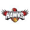 Wollongong Hawks Logo