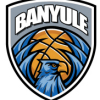 Banyule 08 Logo