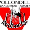 Wollondilly Redbacks U13 Logo