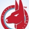 University (Blue) Logo