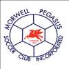 Morwell Pegasus Logo