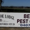 Iron Shoe Lodge - Poll Hereford Stud & Benalla Pest Control