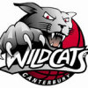 Canterbury Wildcats Logo