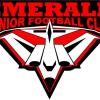 Emerald Junior Football Club Logo