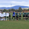 2012 HSA / STFA JOINT COMPETITION CHAMPIONS LEAGUE CUP