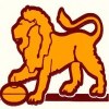 Cairns City Lions Logo
