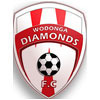 Wodonga Diamonds FC Logo