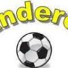 Wanderers FC Logo