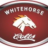 Whitehorse Colts M Logo