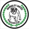 Barnsley Senior O35Fri/01 - 2015 Logo