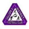 Calliope Crusaders Logo