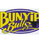 Bunyip Flames Logo