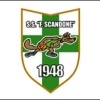 SS FELICE SCANDONE SPA Logo