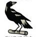 Nerimbera Magpies White Logo
