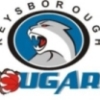 KEYSBOROUGH 3 Logo