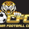 Cooma Tigers FC Logo