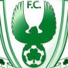 Phoenix FC Championship Reserve Grade Logo