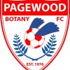 Pagewood Botany Men's PL First Grade Logo