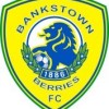 Canterbury Bankstown FC Logo