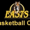 Tigers - 8 Logo