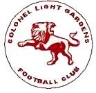2021 Colonel Light Gardens FC U9