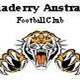 Bomaderry Tigers Logo