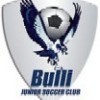 Bulli 8 Red Logo