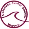 Coledale Waves Logo