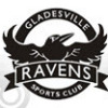 Ravens White AA3 Logo