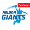 Fico Finance Nelson Giants Logo